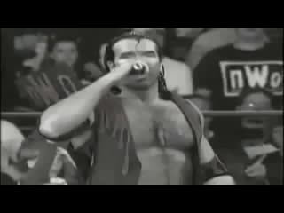 scott hall nwo